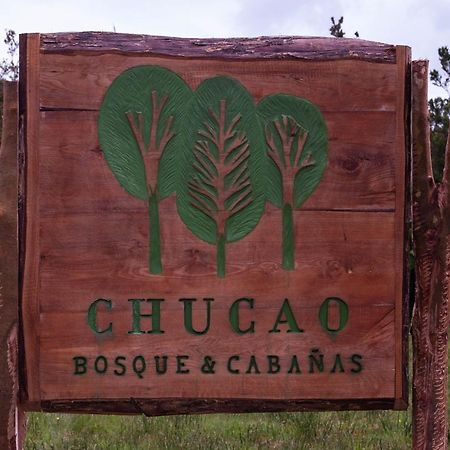 Chucao Bosque Y Cabanas Chaitén المظهر الخارجي الصورة