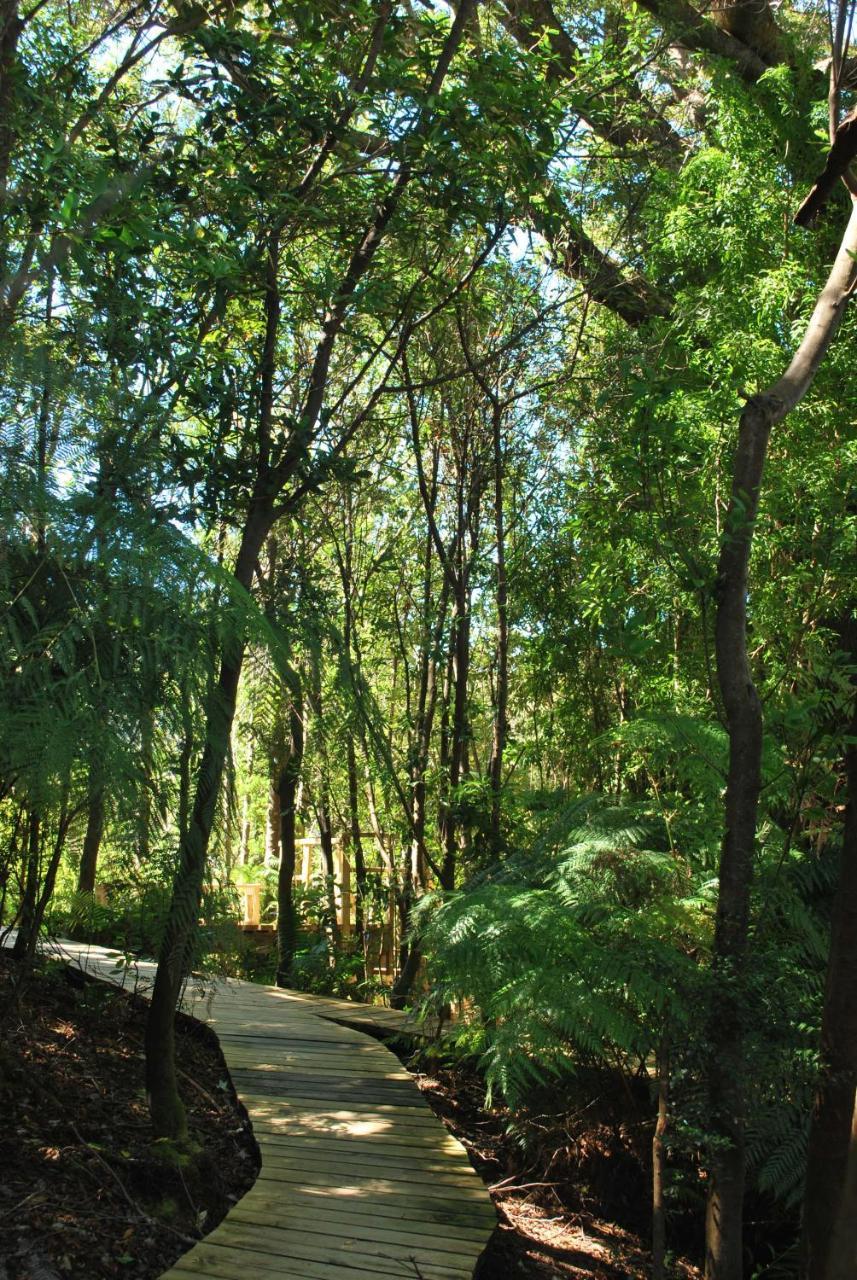 Chucao Bosque Y Cabanas Chaitén المظهر الخارجي الصورة