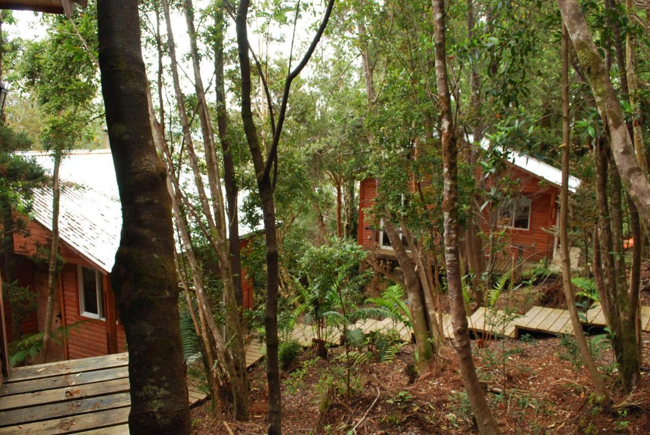 Chucao Bosque Y Cabanas Chaitén المظهر الخارجي الصورة